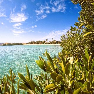 Mangrove Bay Resort otel fotoğrafı