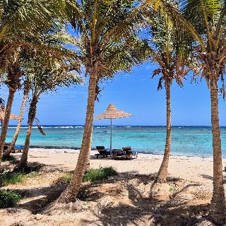 Mangrove Bay Resort fotoÄŸrafÄ±