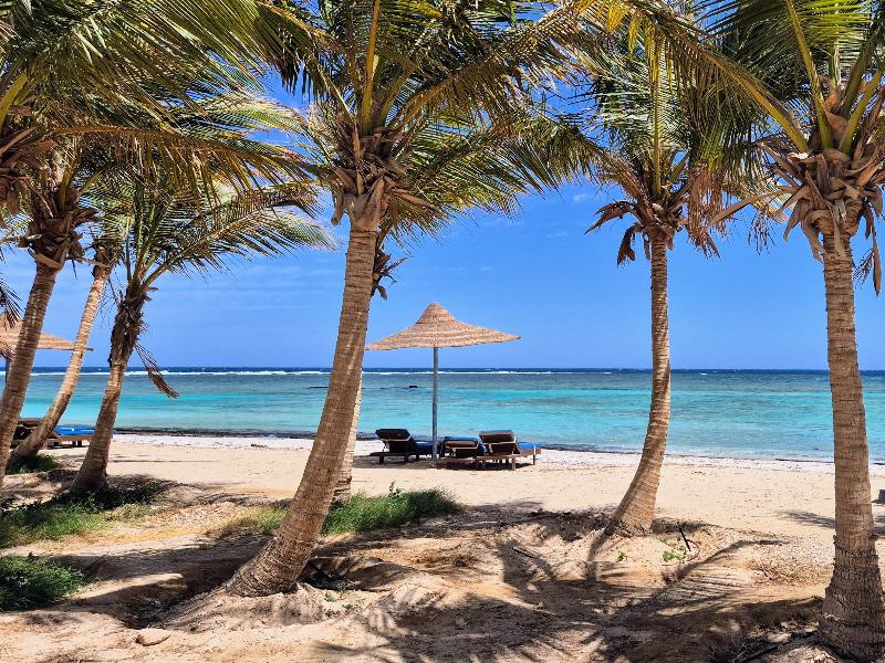 Mangrove Bay Resort - Genel