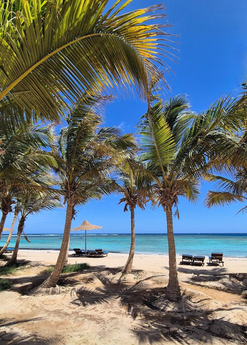 Mangrove Bay Resort - Plaj