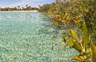 Mangrove Bay Resort fotoÄŸrafÄ±