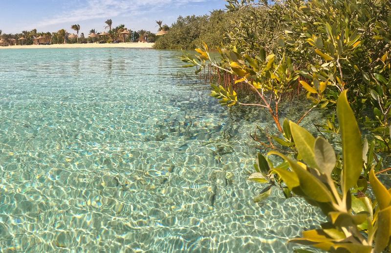 Mangrove Bay Resort - Plaj