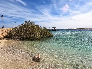 Mangrove Bay Resort fotoÄŸrafÄ±