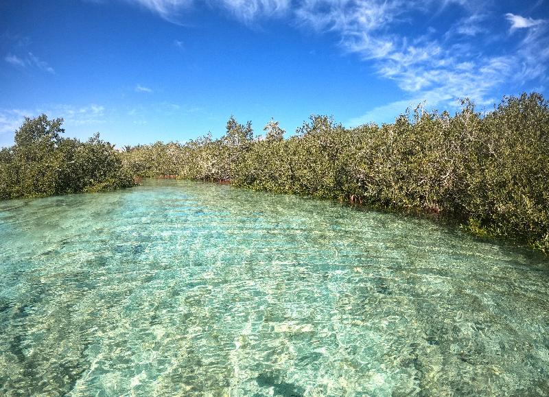 Mangrove Bay Resort - Plaj
