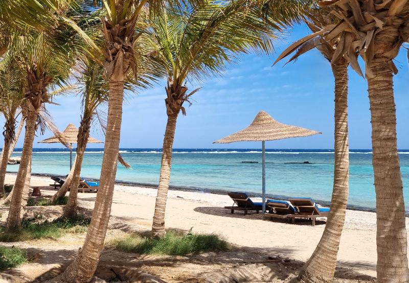 Mangrove Bay Resort - Plaj