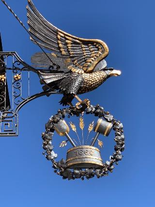 Adler fotoÄŸrafÄ±