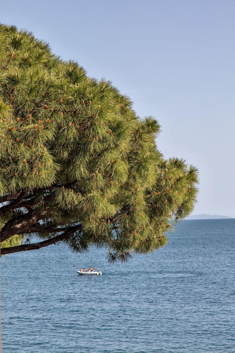 Hotel Residence Amalfi - Genel