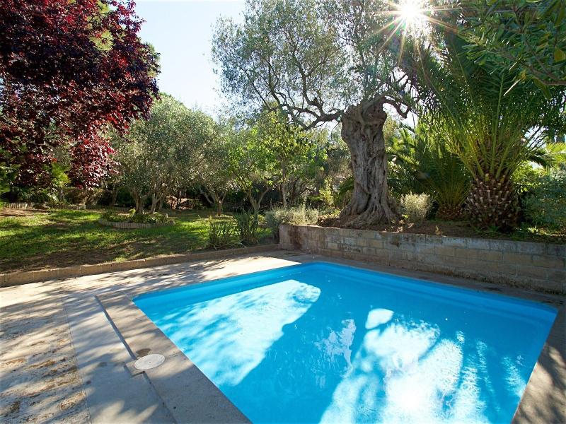 Residence Park Solemaremma - Aktivite