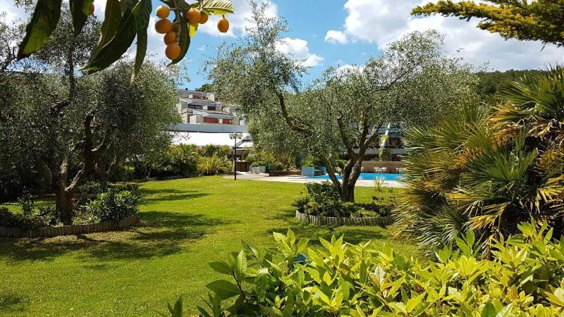 Residence Park Solemaremma - Teras