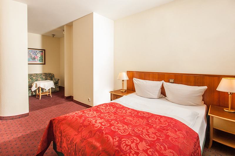 TRIP INN  Hotel Bristol Mainz - Oda