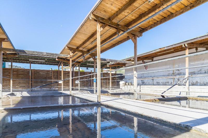 Atlantic Terme Natural Spa & Hotel - Aktivite