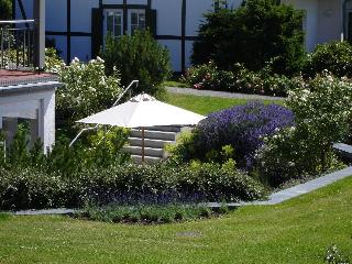 Der Wilde Schwan fotoÄŸrafÄ±