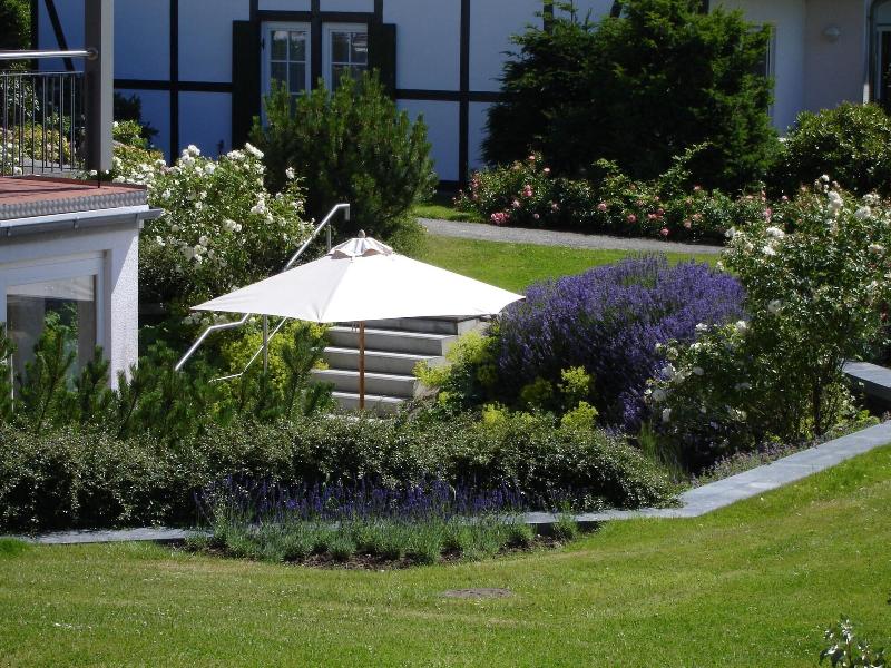 Der Wilde Schwan - Genel