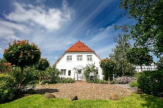 Der Wilde Schwan fotoÄŸrafÄ±