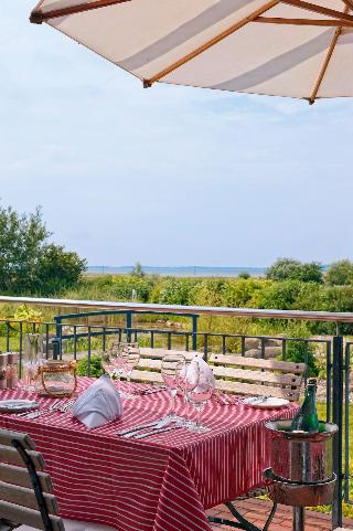 Der Wilde Schwan fotoÄŸrafÄ±