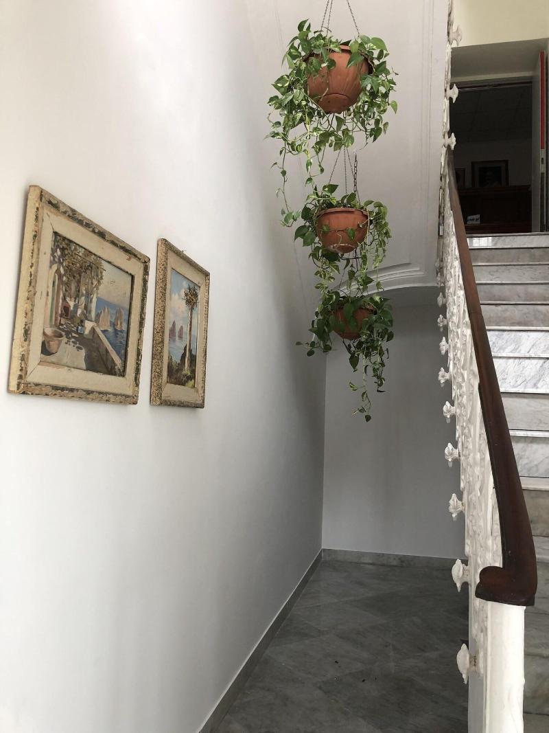 Dania - Lobi