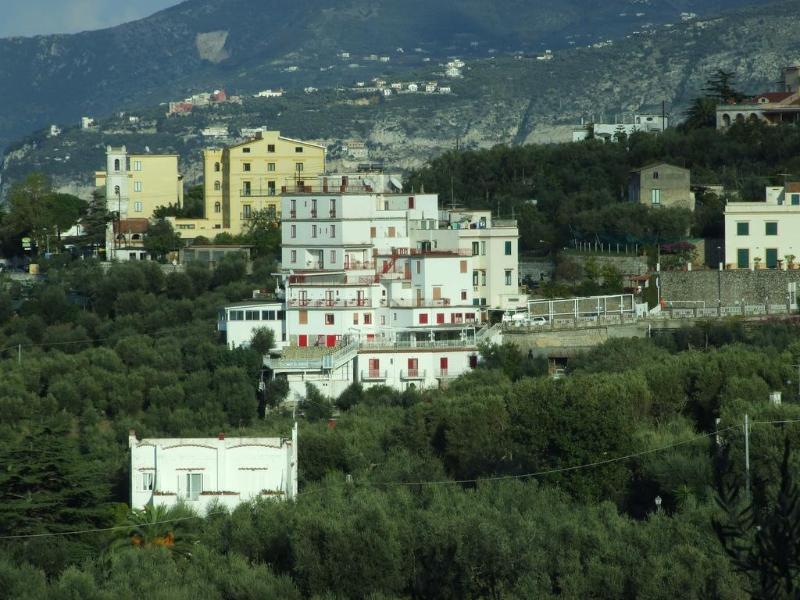 Dania - Genel
