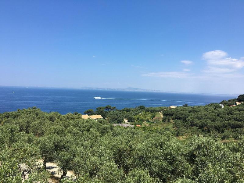Dania - Genel