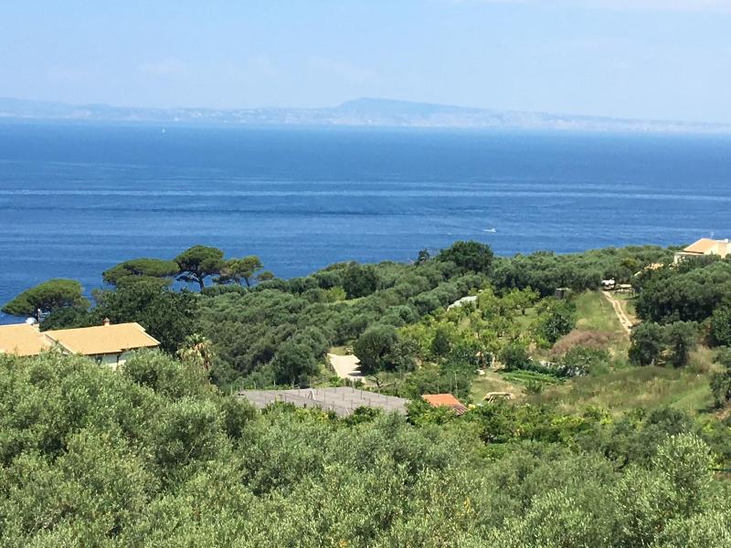 Dania - Genel