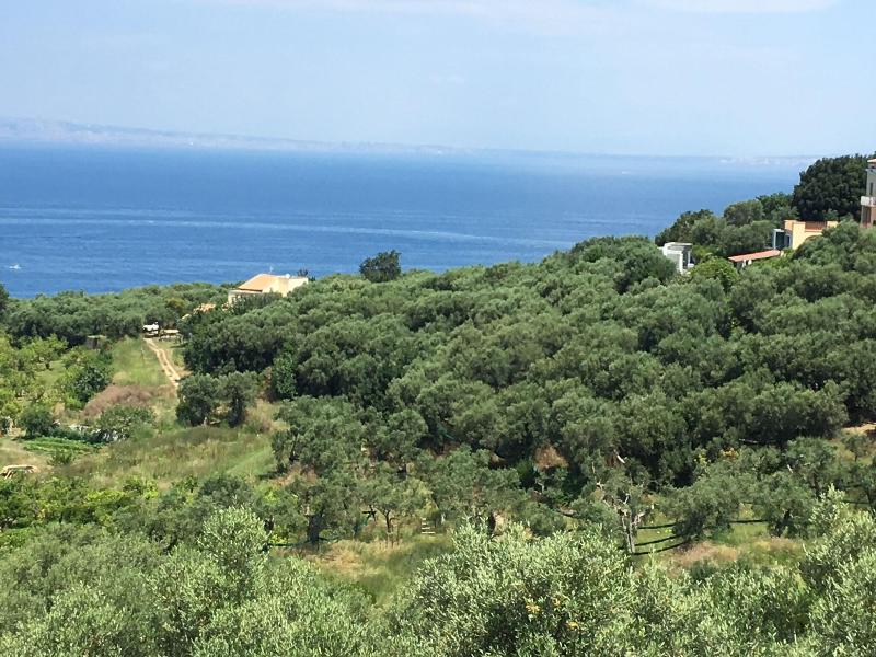 Dania - Genel