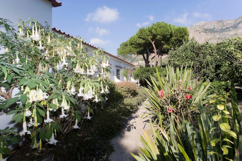 Park Hotel Terme Mediterraneo - Oda