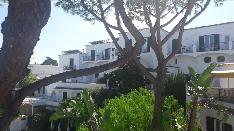 Terme Floridiana - Genel