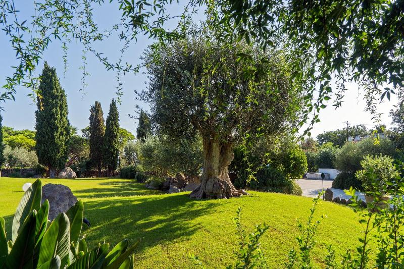 Botania Relais & Spa - Teras
