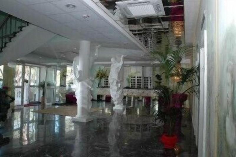 Domizia Palace Hotel - Lobi