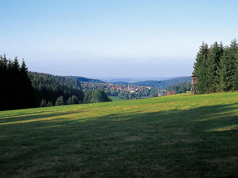 Zum Ochsen - Genel