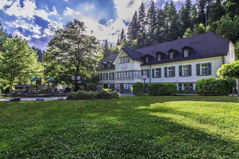 Waldhotel Bad Sulzburg - Genel