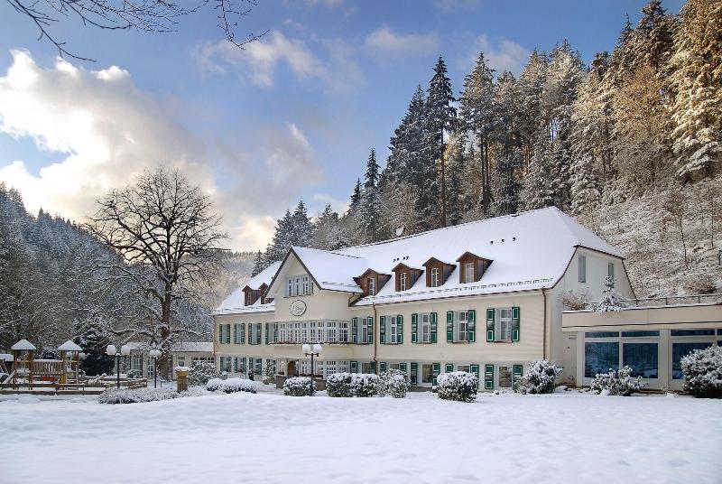 Waldhotel Bad Sulzburg - Genel