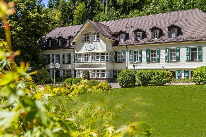 Waldhotel Bad Sulzburg - Genel