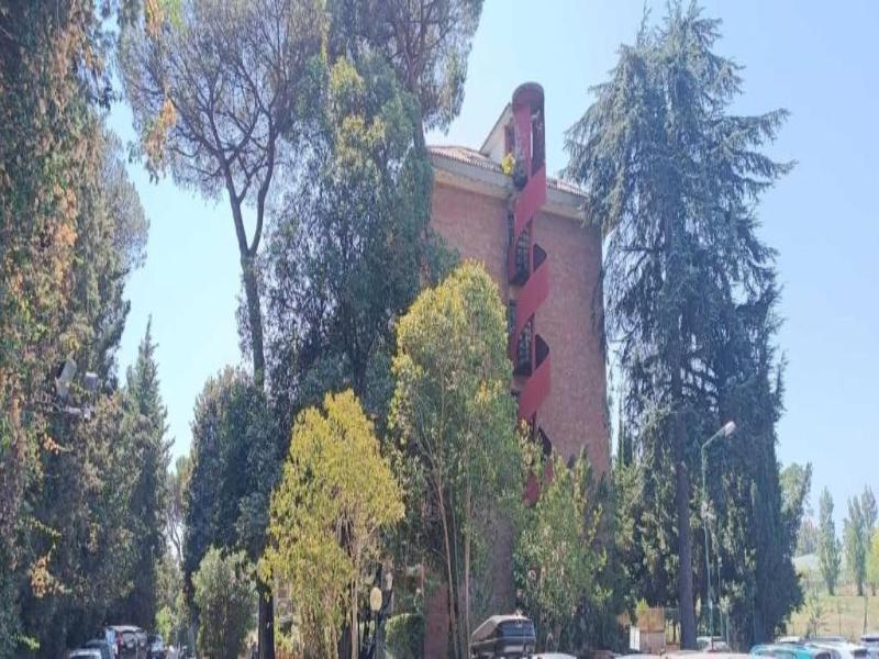 Aurelia Antica Suites & Apartments - Genel