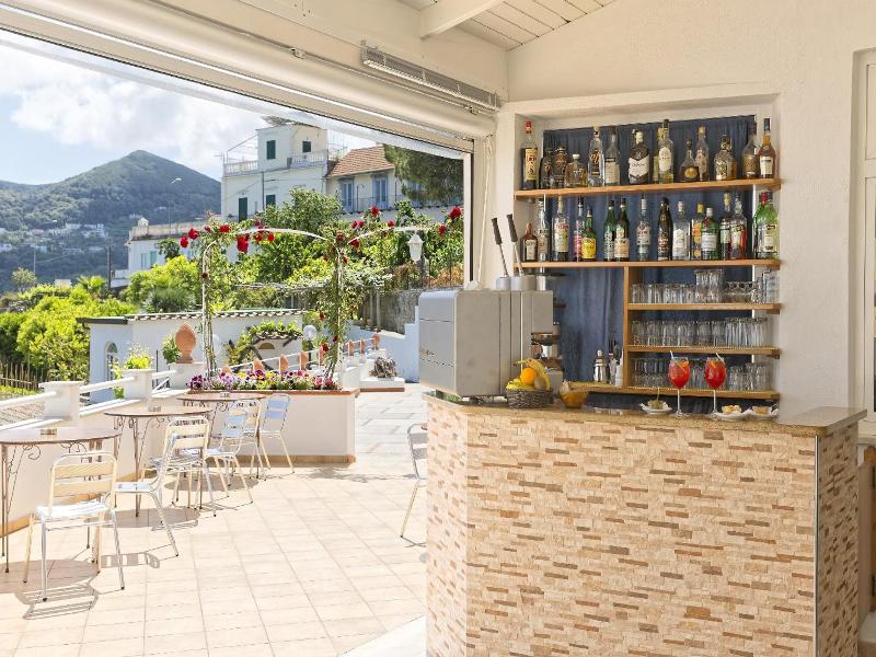 Villa d'Orta - Genel