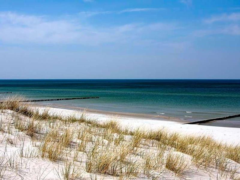 Ostseewoge - Genel
