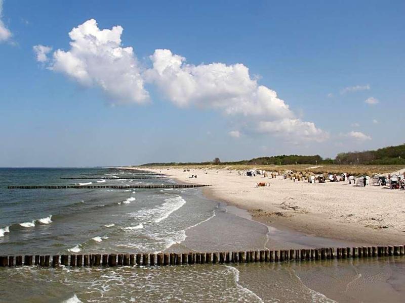 Ostseewoge - Genel