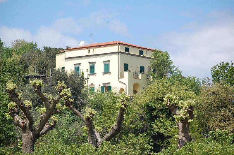 Grand Hotel Hermitage & Villa Romita - Genel