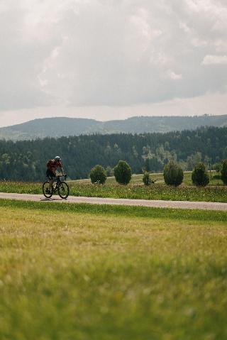 Der Hirschen fotoÄŸrafÄ±