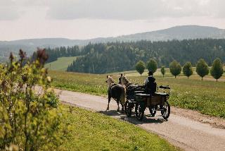 Der Hirschen fotoÄŸrafÄ±