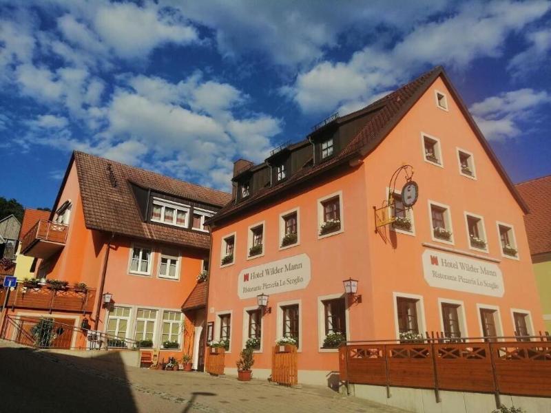 Wilder Mann Gasthof / Pension - Genel