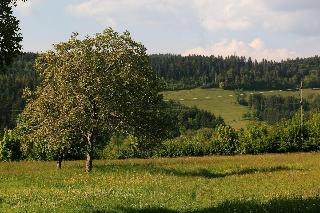 Rainhof Scheune fotoÄŸrafÄ±