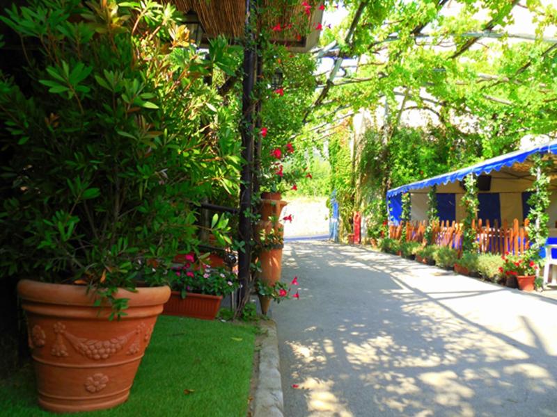 Villaggio Turistico Fiori D'Arancio - Genel