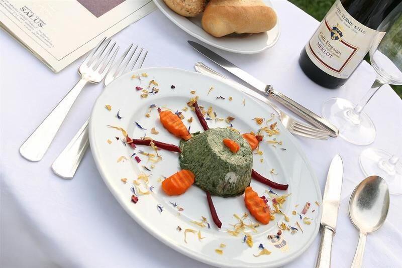 Terme Salus - Restoran
