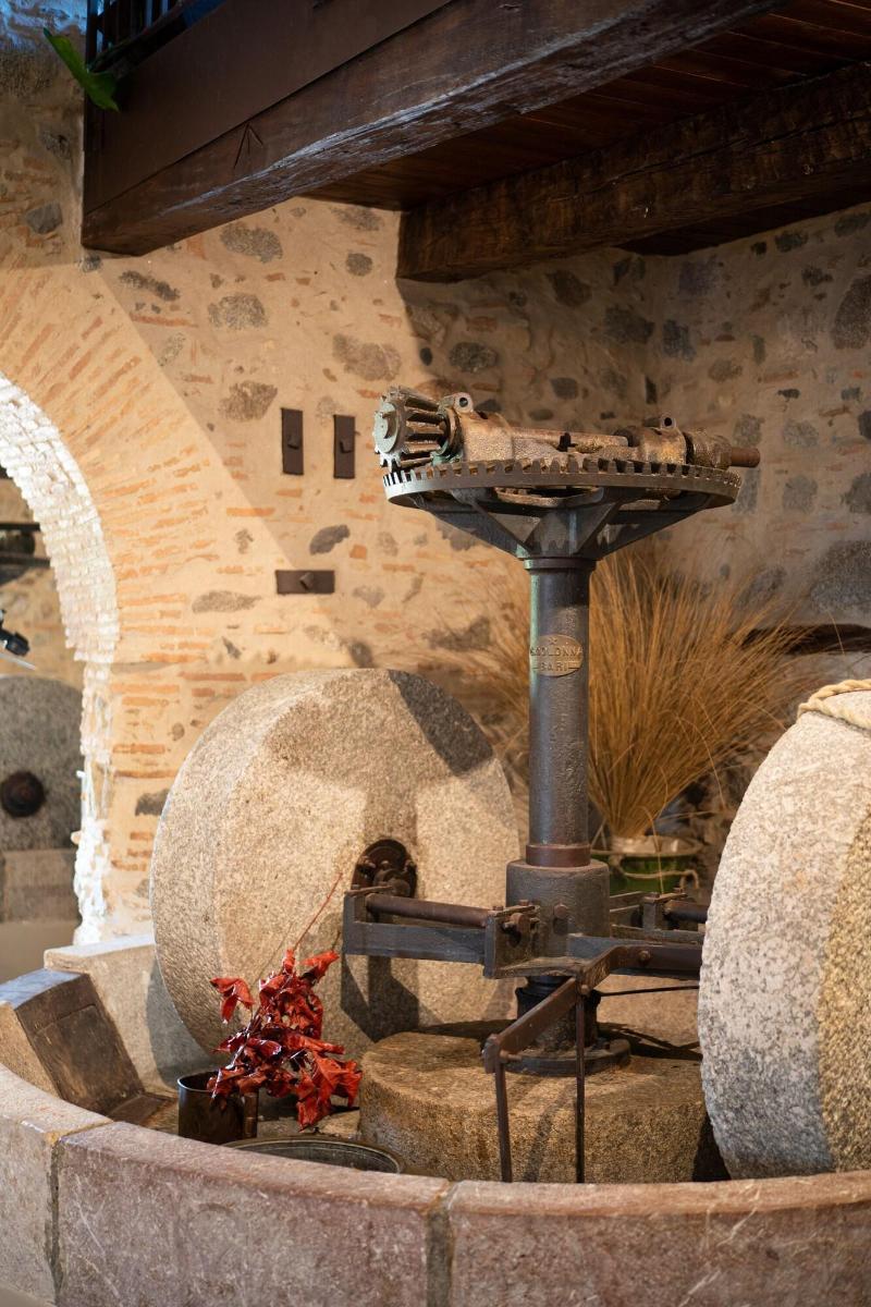 Tenuta Ciminata Greco - Lobi