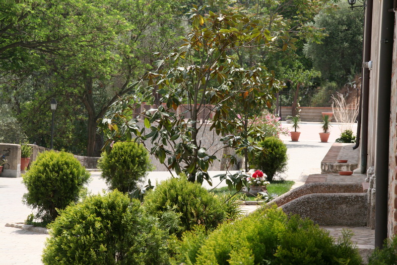 Tenuta Ciminata Greco - Genel