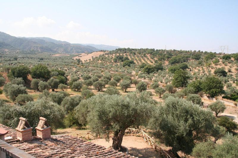 Tenuta Ciminata Greco - Genel