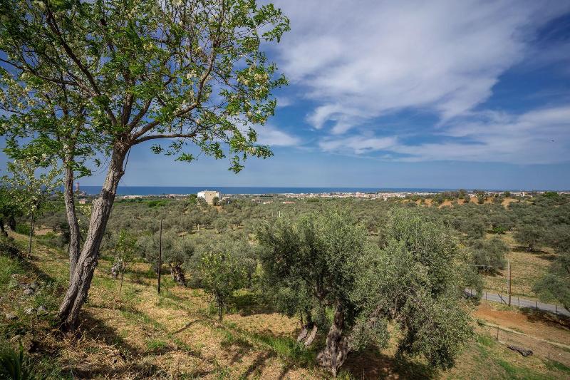 Tenuta Ciminata Greco - Genel