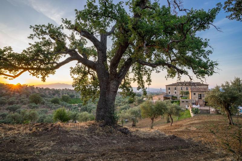 Tenuta Ciminata Greco - Genel