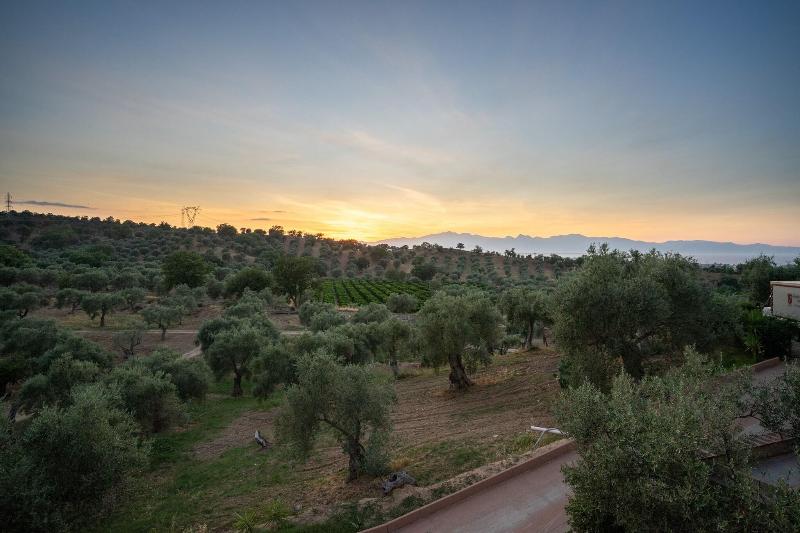 Tenuta Ciminata Greco - Genel