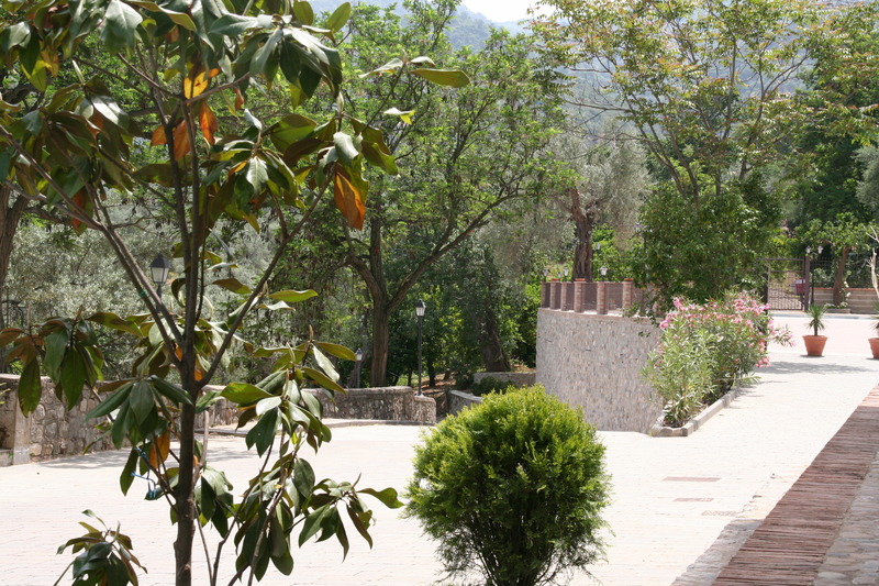 Tenuta Ciminata Greco - Genel